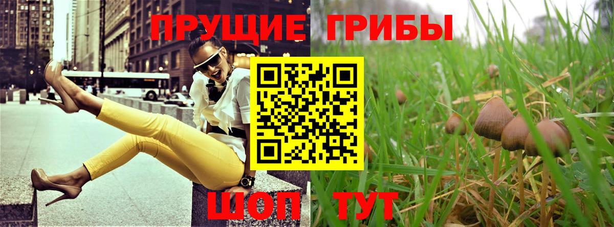 Галлюциногенные грибы мицелий  Псилоцибиновые грибы мухоморы  Вход с VPN  Омск 